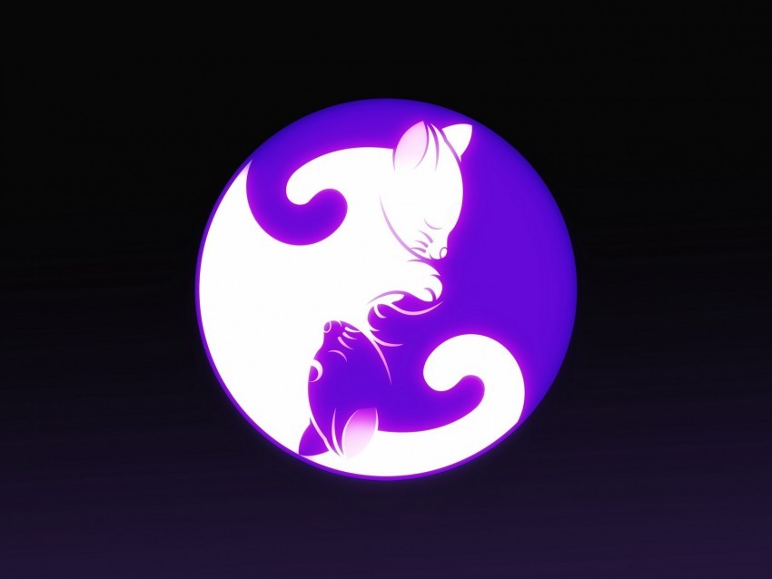yin and yang yin yang cat harmony HighResolution Transparent PNG Isolated Item