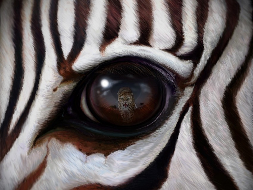 zebra eye reflection leopard predator Isolated Subject on HighQuality PNG