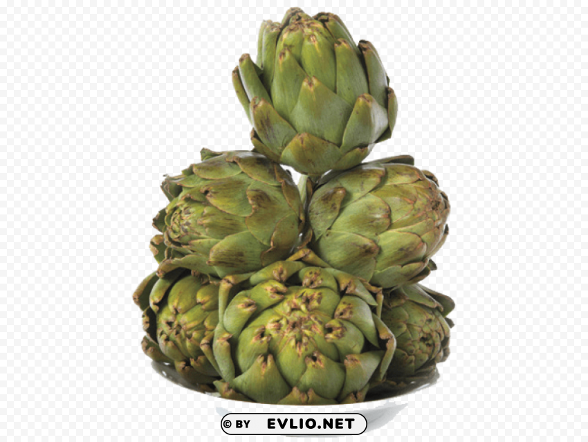 Transparent artichokes PNG images with transparent canvas PNG background - Image ID f77c7265