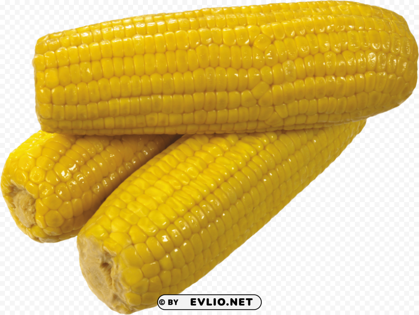 corn PNG images with alpha channel selection