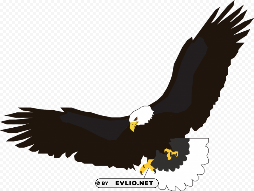 eagle PNG images with alpha channel selection