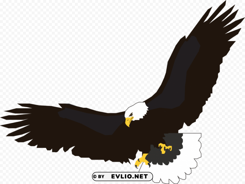 eagle flying Transparent PNG Isolated Illustrative Element