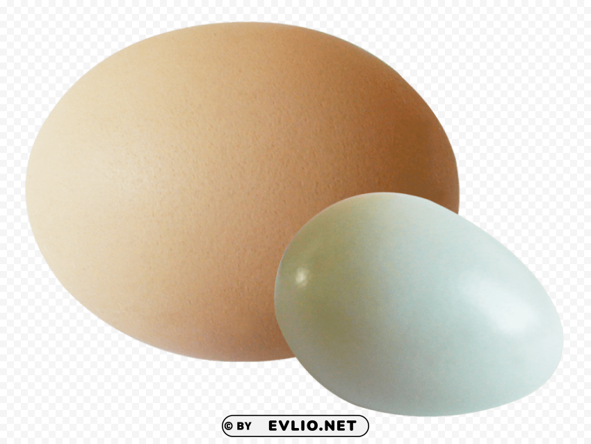 eggs PNG Graphic Isolated on Clear Background Detail