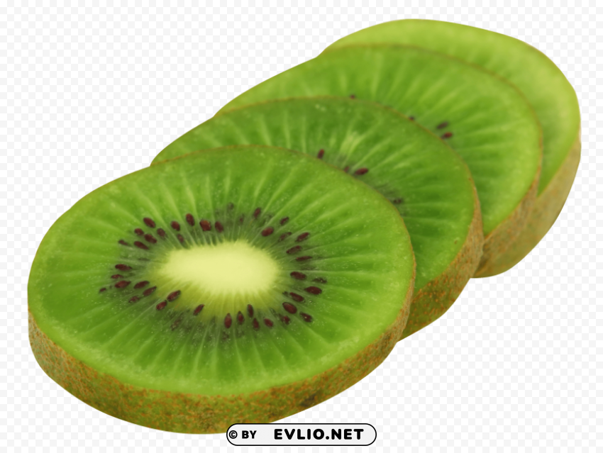kiwi fruit slice Transparent PNG graphics archive
