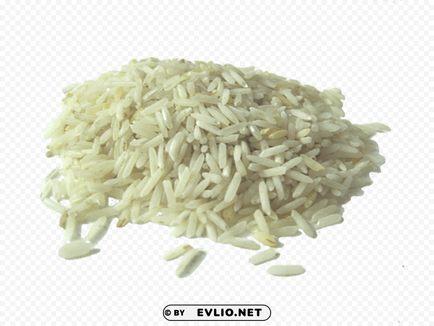 rice PNG with no background for free