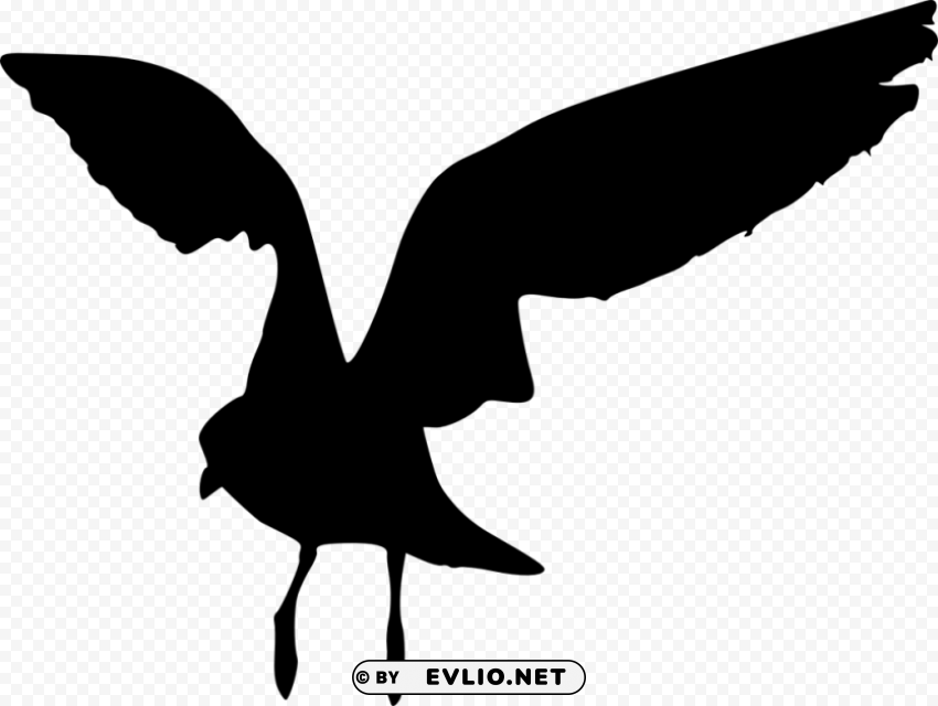 bird silhouette PNG Image Isolated on Clear Backdrop