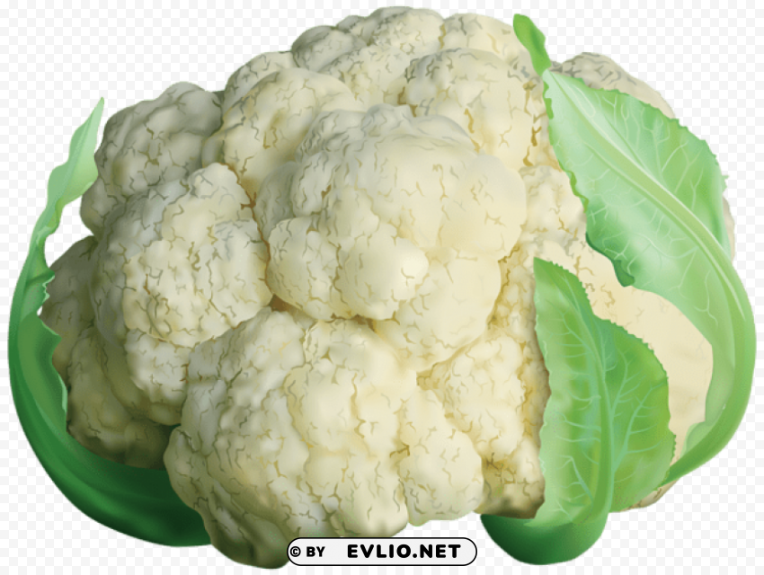 cauliflower transparent PNG images with alpha transparency layer