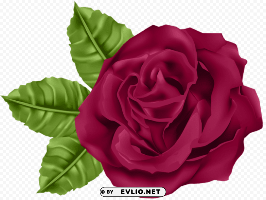 rose PNG for use