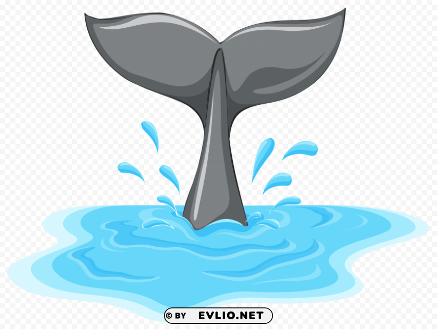 whale tail Free PNG images with transparency collection