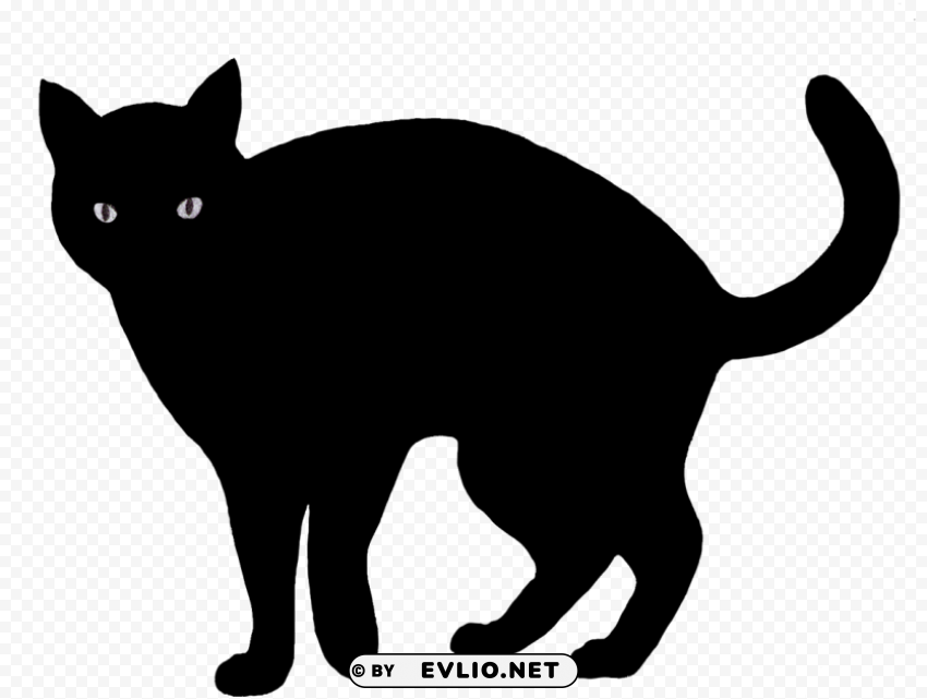 black cat image Free PNG images with alpha channel