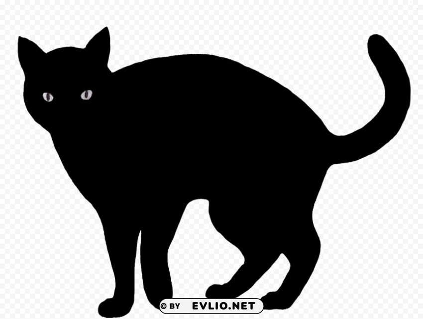 Black Cat Image Free PNG Images With Alpha Channel