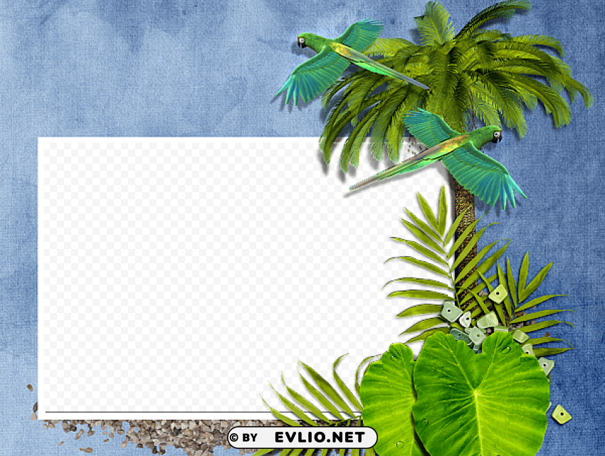 blue exotic frame with parrots Transparent PNG Isolated Graphic with Clarity