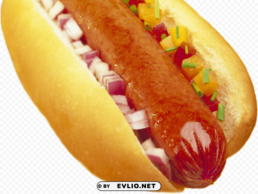 Hot Dog Isolated Element With Clear PNG Background