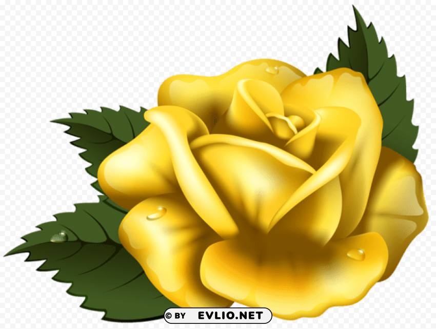 large yellow rose transparent Isolated Icon with Clear Background PNG