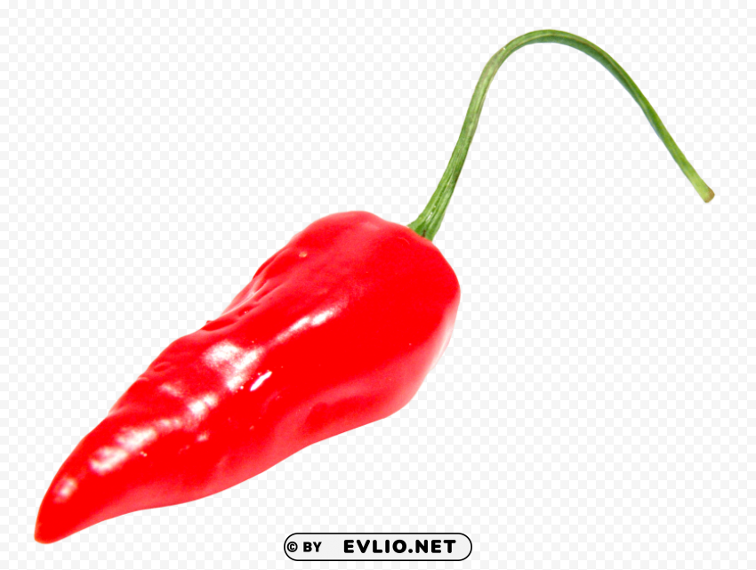red chili pepper PNG Graphic with Isolated Transparency