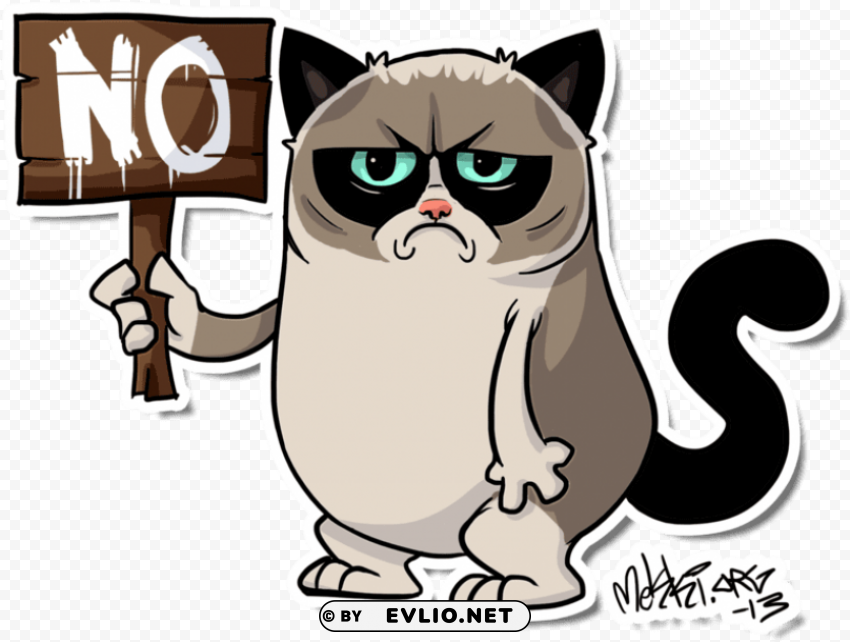 grumpy cat PNG images with no background needed