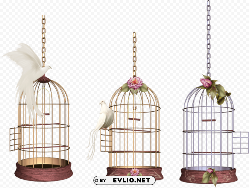 white bird cage PNG Image with Transparent Isolated Graphic Element