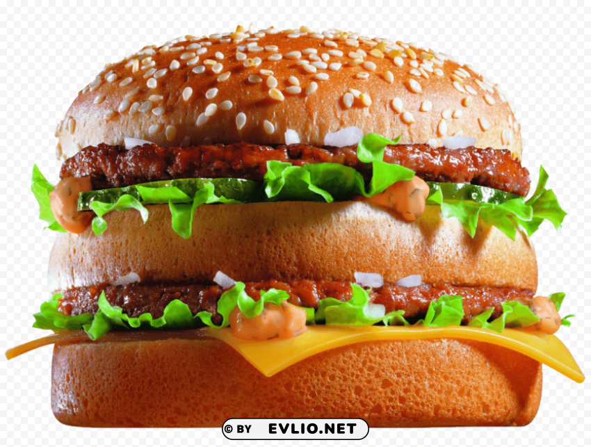 Burger PNG Files With No Background Bundle