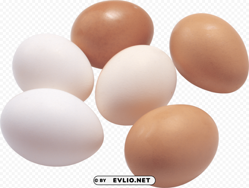 eggs Isolated Item with Transparent PNG Background