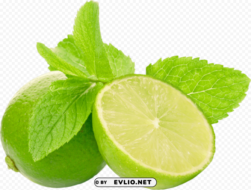 lime PNG files with no background free