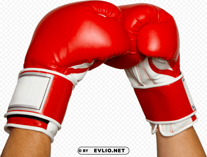 boxing gloves hands Free transparent PNG