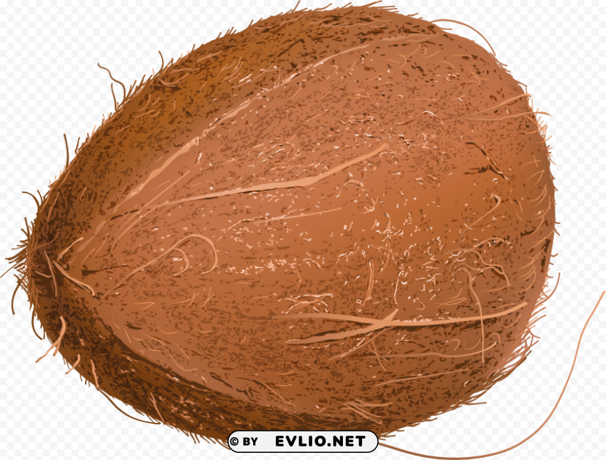 coconut Transparent Background Isolation in PNG Format