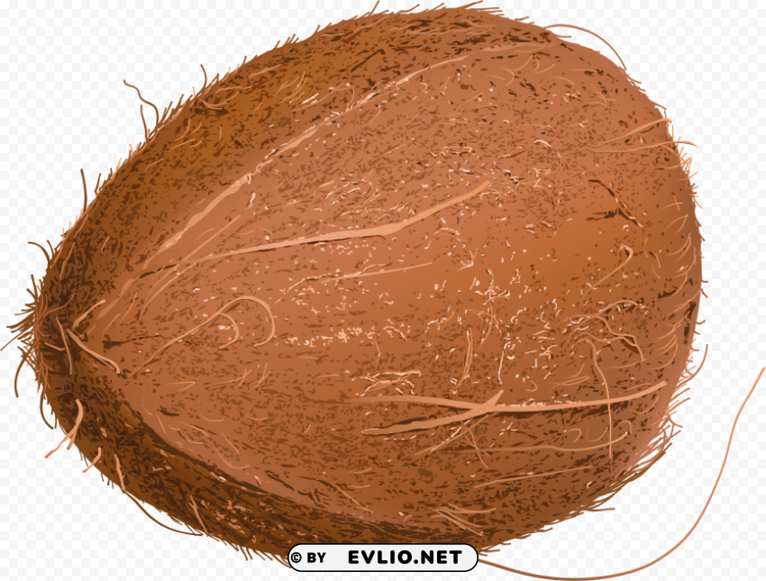 Coconuts Isolated Item With Transparent Background PNG