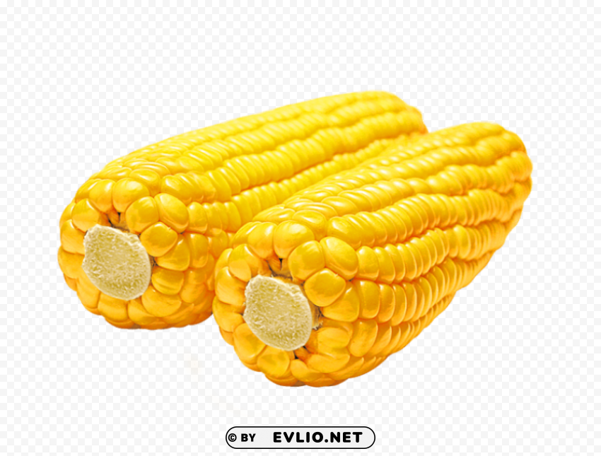 corn Clear Background Isolated PNG Object