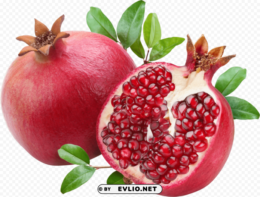 Pomegranate Isolated Element On HighQuality PNG