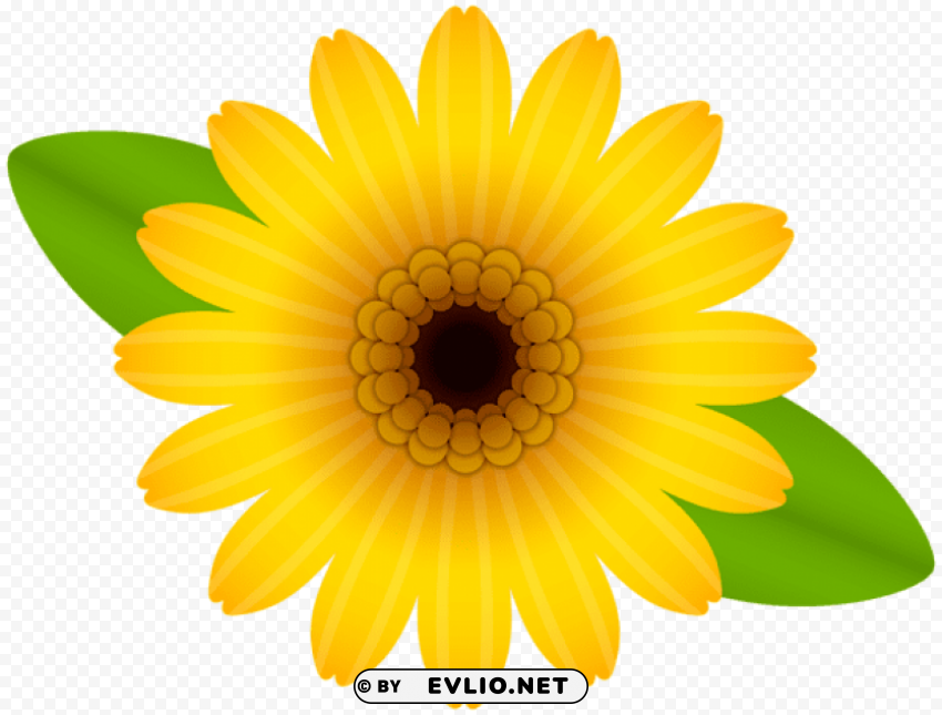 yellow flower decorative transparent PNG graphics with alpha channel pack