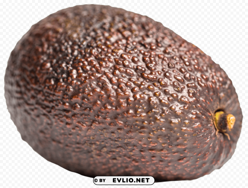 Avocado PNG images with high transparency