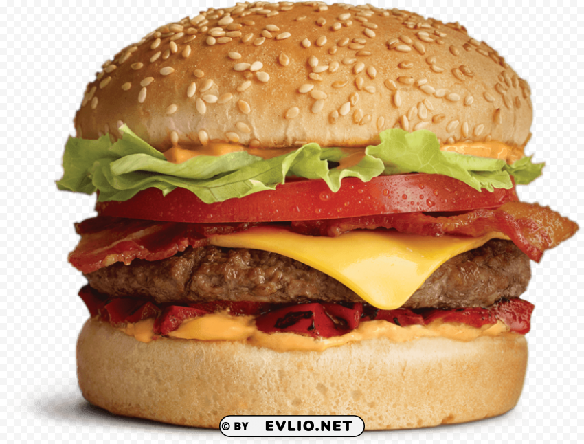 burger s Isolated Item on Transparent PNG