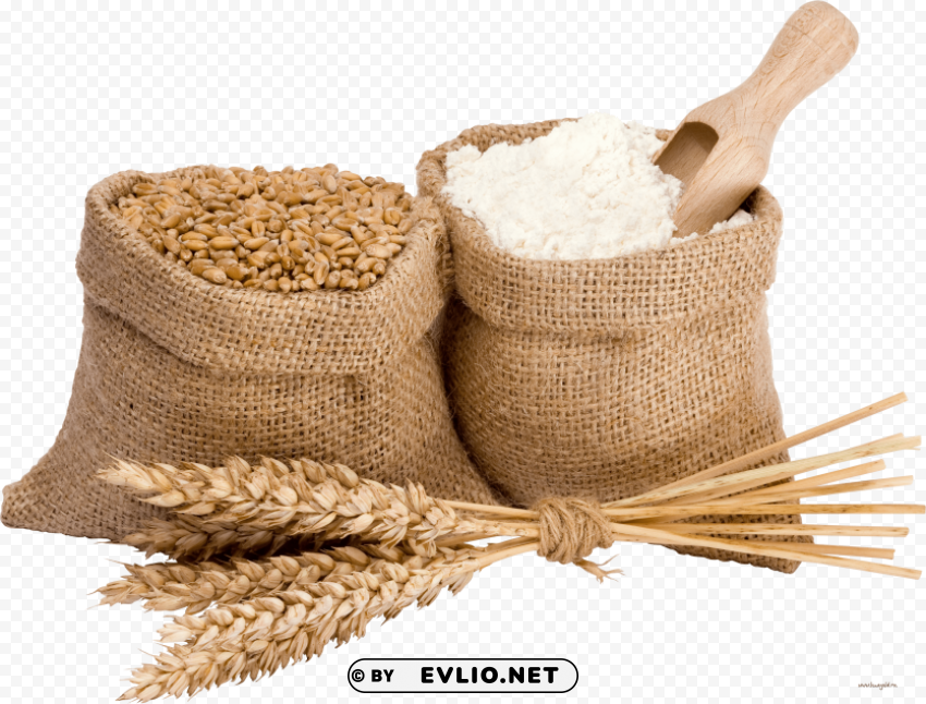 Wheat PNG files with clear background variety