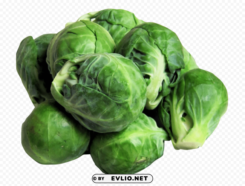 brussels sprouts Transparent PNG Isolated Graphic Element