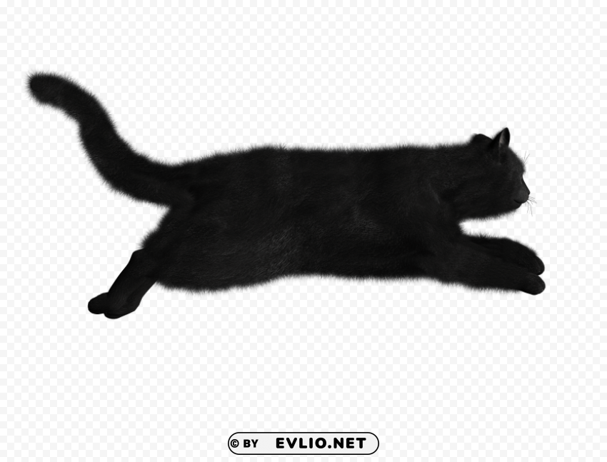 cat PNG clipart png images background - Image ID 846ca1aa