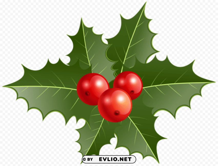 christmas holly Transparent PNG image free