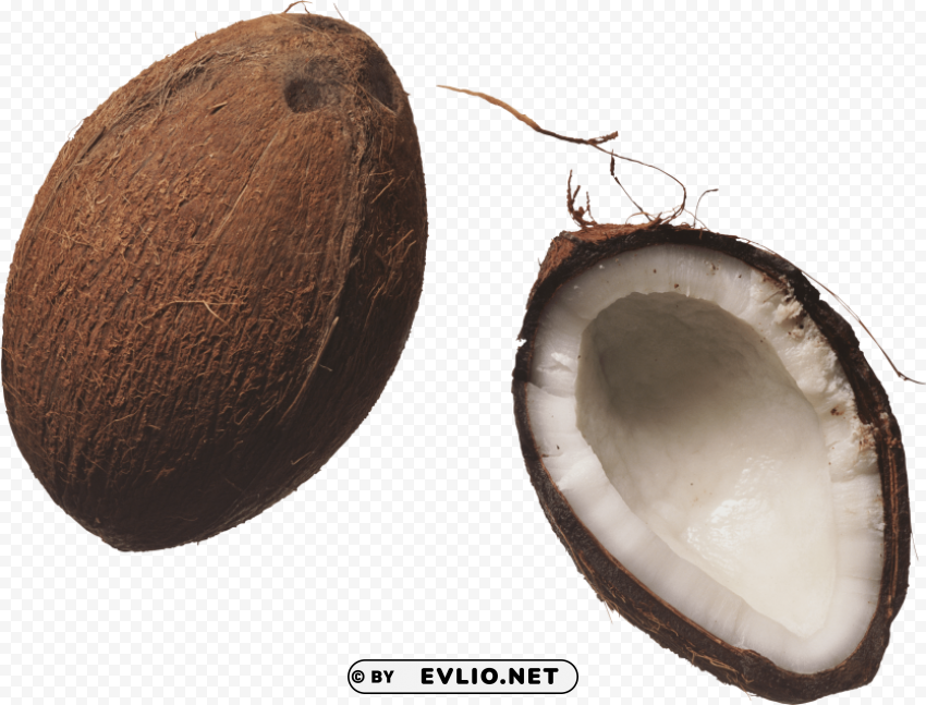 coconut Transparent pics