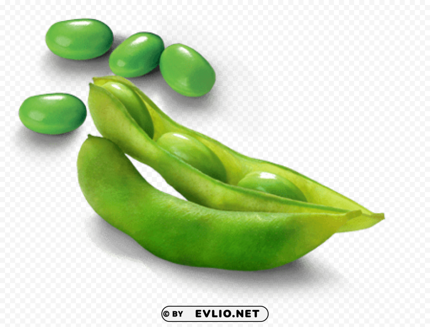 Transparent edamame PNG graphics PNG background - Image ID 0a3523fe