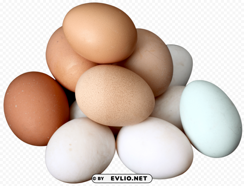 egg PNG images with clear alpha channel broad assortment
