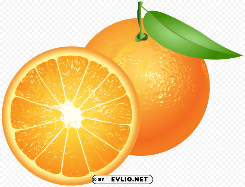 oranges Isolated Item on HighQuality PNG