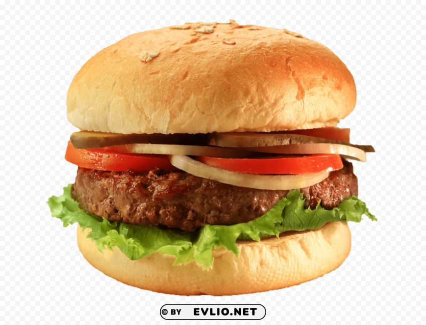 burger and sandwich PNG Graphic Isolated on Transparent Background