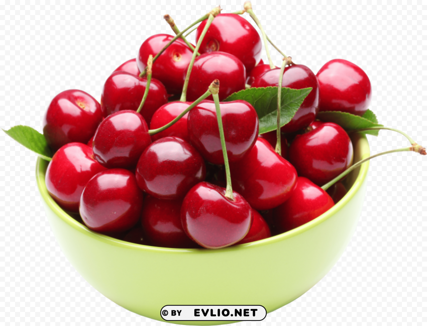 cherry in a cup PNG transparent graphics bundle