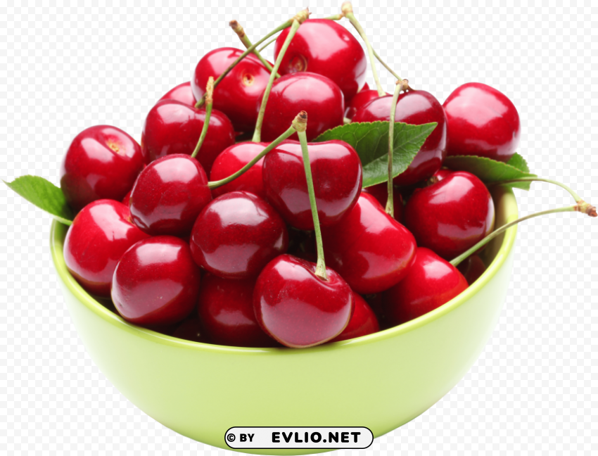 Cherry In A Cup PNG Transparent Graphics Bundle