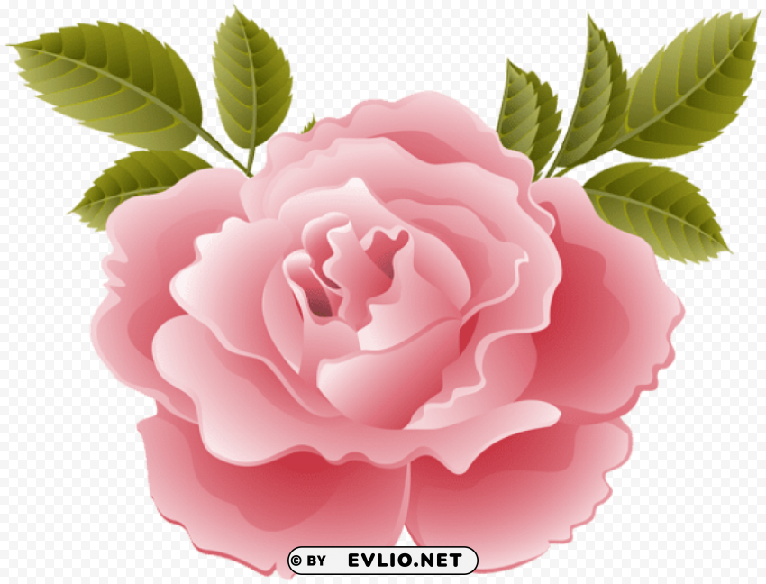deco rose Isolated Subject in HighQuality Transparent PNG