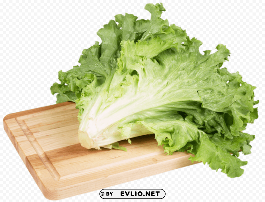 green salad lettuce PNG files with transparent elements wide collection