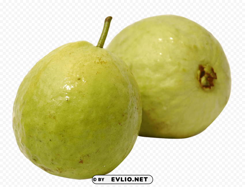 Guava PNG files with transparent backdrop