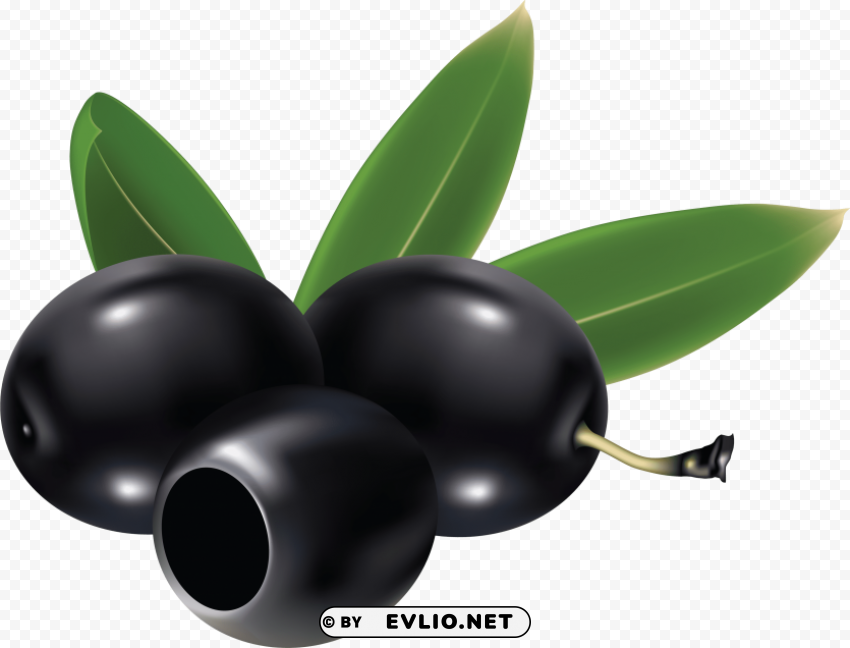 olives PNG clipart with transparent background clipart png photo - 1a5149ee