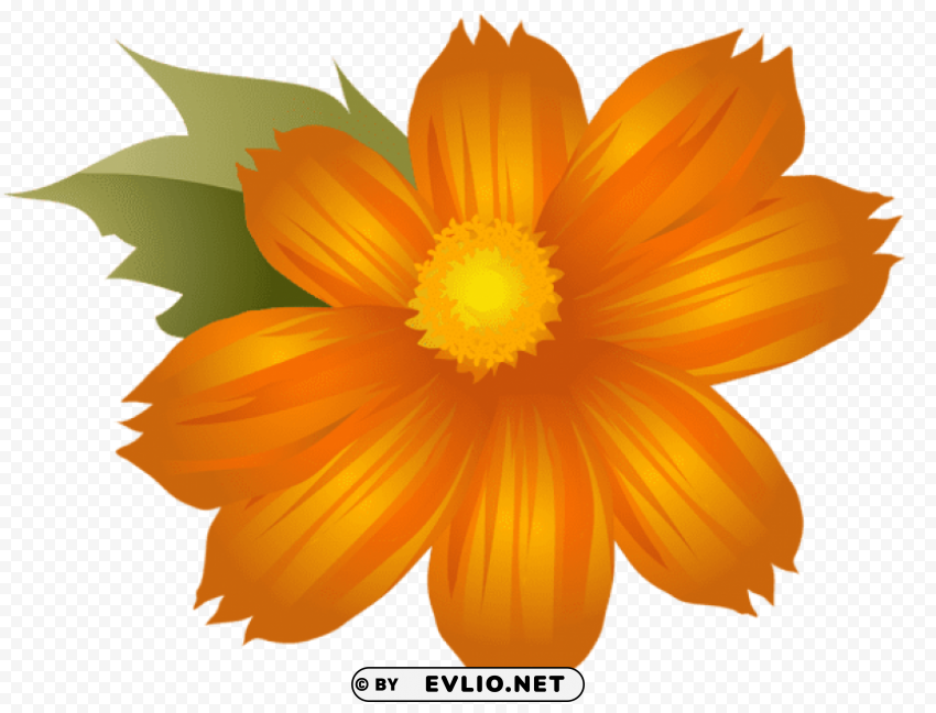 Orange Flower Clip-art PNG With No Background Required