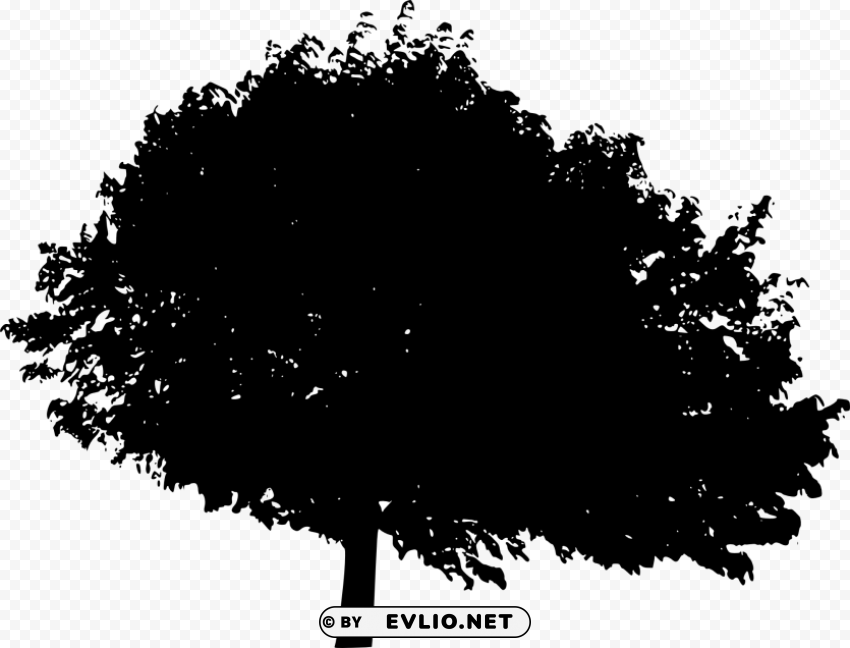 tree silhouette Isolated Subject in Transparent PNG