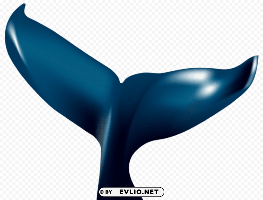 whale tale PNG Object Isolated with Transparency